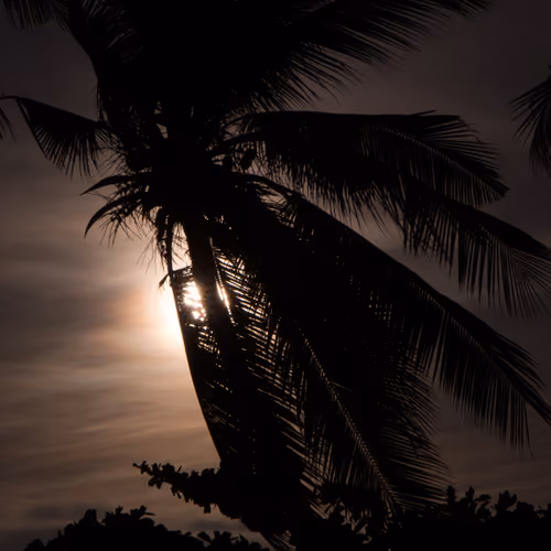 #Thailand Photography