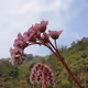 Photography Nature