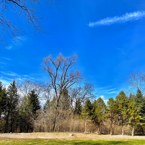 photos of illinois