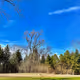 photos of illinois