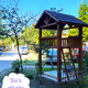 Photos Of suyan's