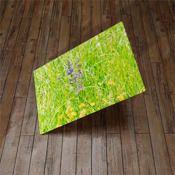 Photos on canvas