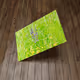 Photos on canvas
