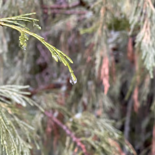 Photos by hubbersnaks