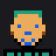 PIBRICKFACE