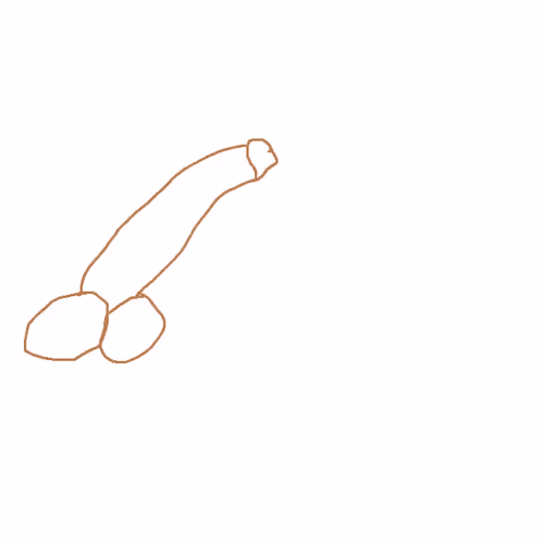 Picasso P Collection