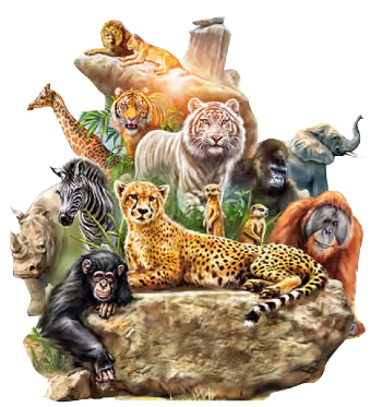 pictureanimals