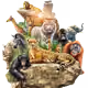pictureanimals