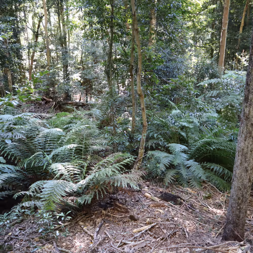 Pictures of the Land