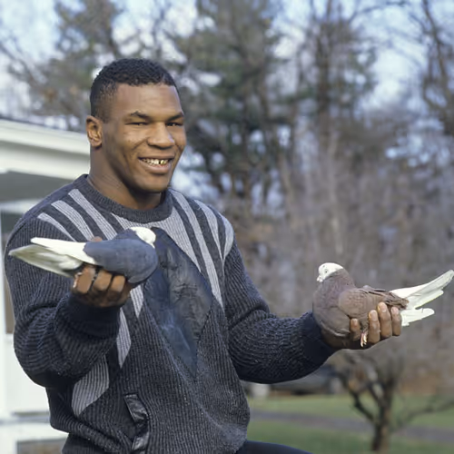 Pidgeon Hands
