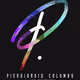 Piergiorgio Colombo Gallery