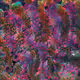 pigment Art