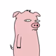 Pig Pals
