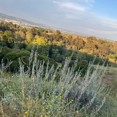 Pika Touching Grass (Hiking)