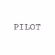 Pilot Project Posters
