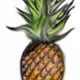 Pineapple-sea