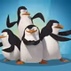 Pinguins