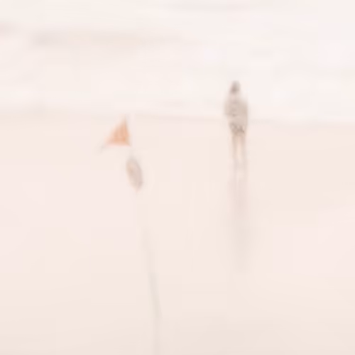 First ever pinhole movies