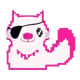 Pink Pirate - Cat