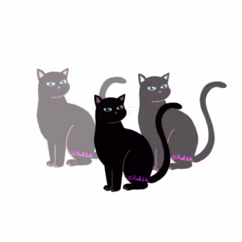 PINKLALLA Cat's Eyes