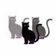 PINKLALLA Cat's Eyes