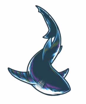 Pipefin Sharknado