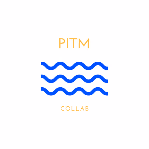 PITM - Places in the MED - old