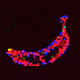 PIX Banana