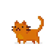 PixcatsOrange