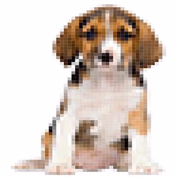 Pixel Collectable Image