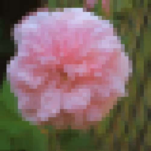 PIXEL FLOWER GIRL