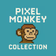 Pixel Monkey Collection