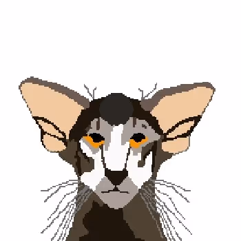 Pixel NFT by NFTClubb