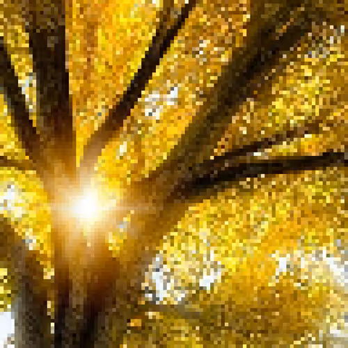 pixel paint art photo graphs