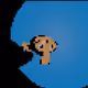 Pixel Pixels