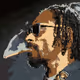 Pixel Snoop