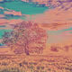 Pixel World Photoz - old