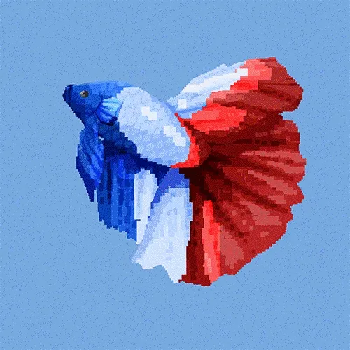 Pixel Betta