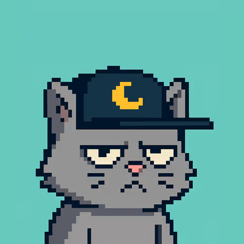 pixelcat01