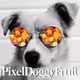 PixelDoggyFruit - old