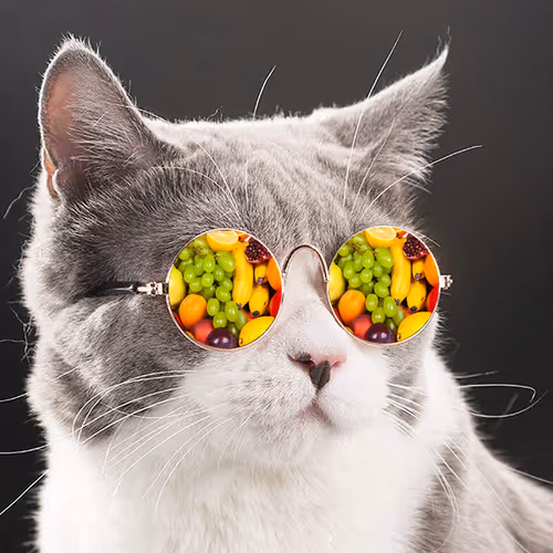 Pixel Kitten Fruit - old