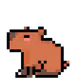 PixelPibara