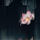 Pixels Mosh Collection - old