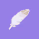 Pixeon Feather