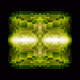 Pixikal dimension