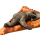 Pizza Sloth