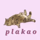 PLAKAO BADMOOD