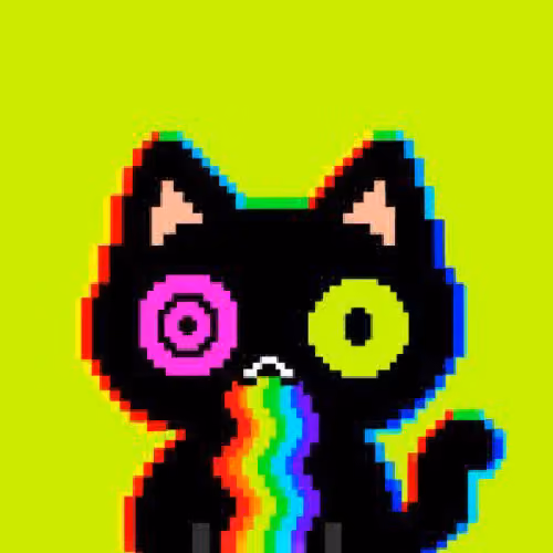 Weird Cats RH