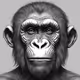 Planet Of The Apes AI