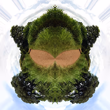 Planets of Mutant Nature